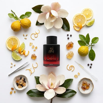 Aouj Maroon Perfume for Women & Men