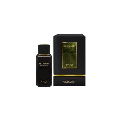Afnan Zimaya Treasure Perfume for Men
