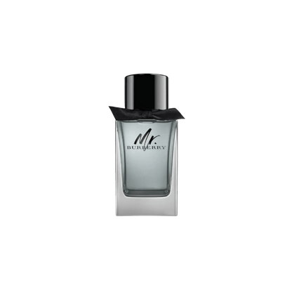 Burberry Mr Burberry For Men