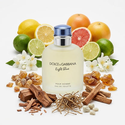 Dolce & Gabbana Light Blue Pour Homme Cologne