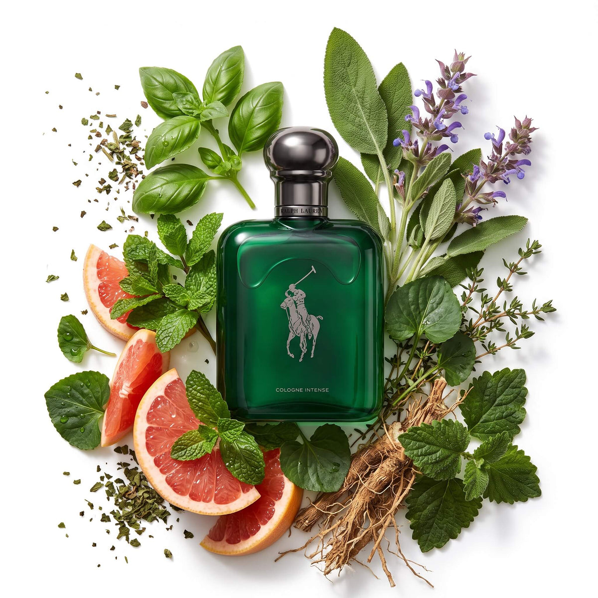 Ralph Lauren Polo Cologne Intense