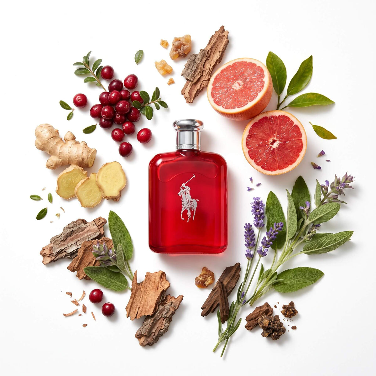 Ralph Lauren Polo Red Cologne