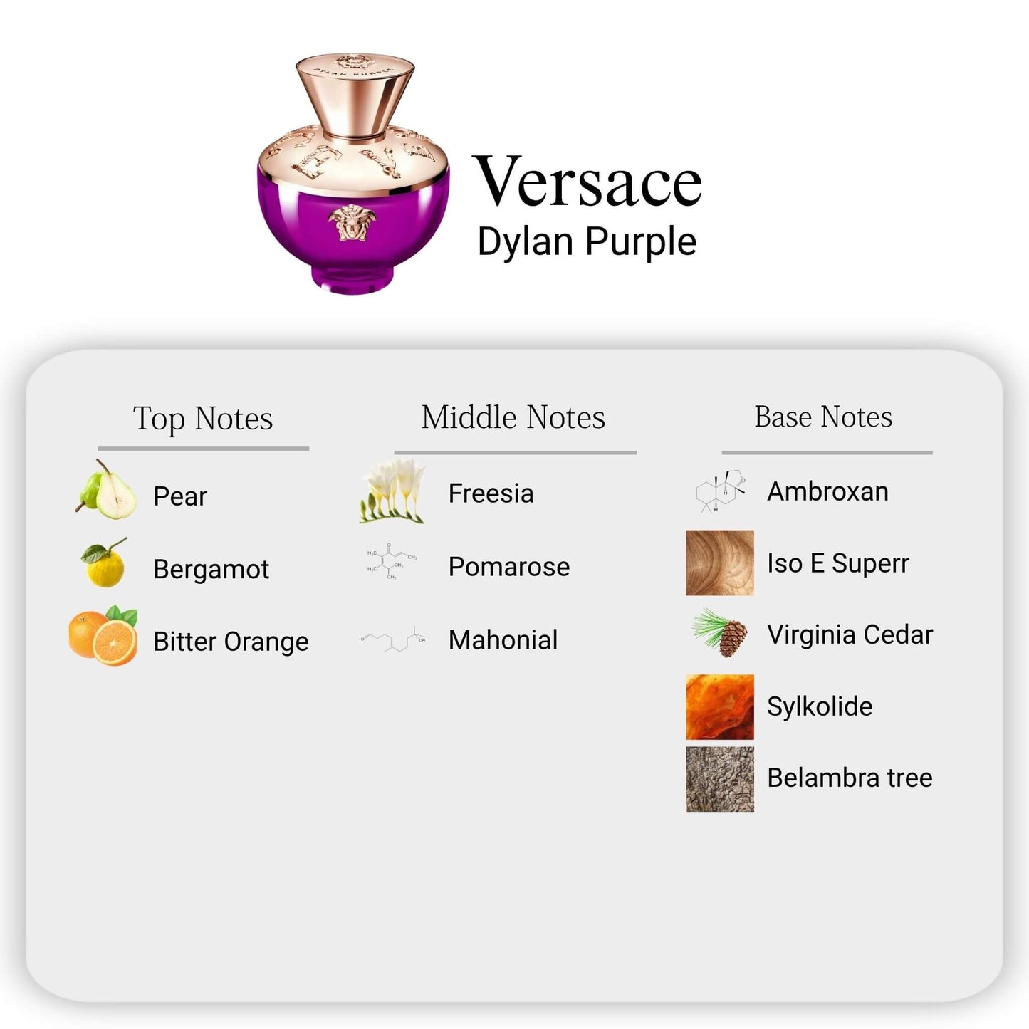 Versace Dylan Purple Pour Femme