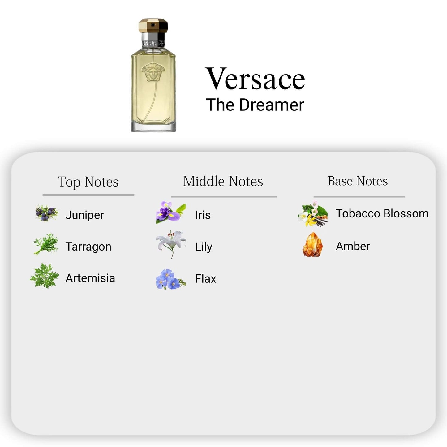 Versace The Dreamer for Men